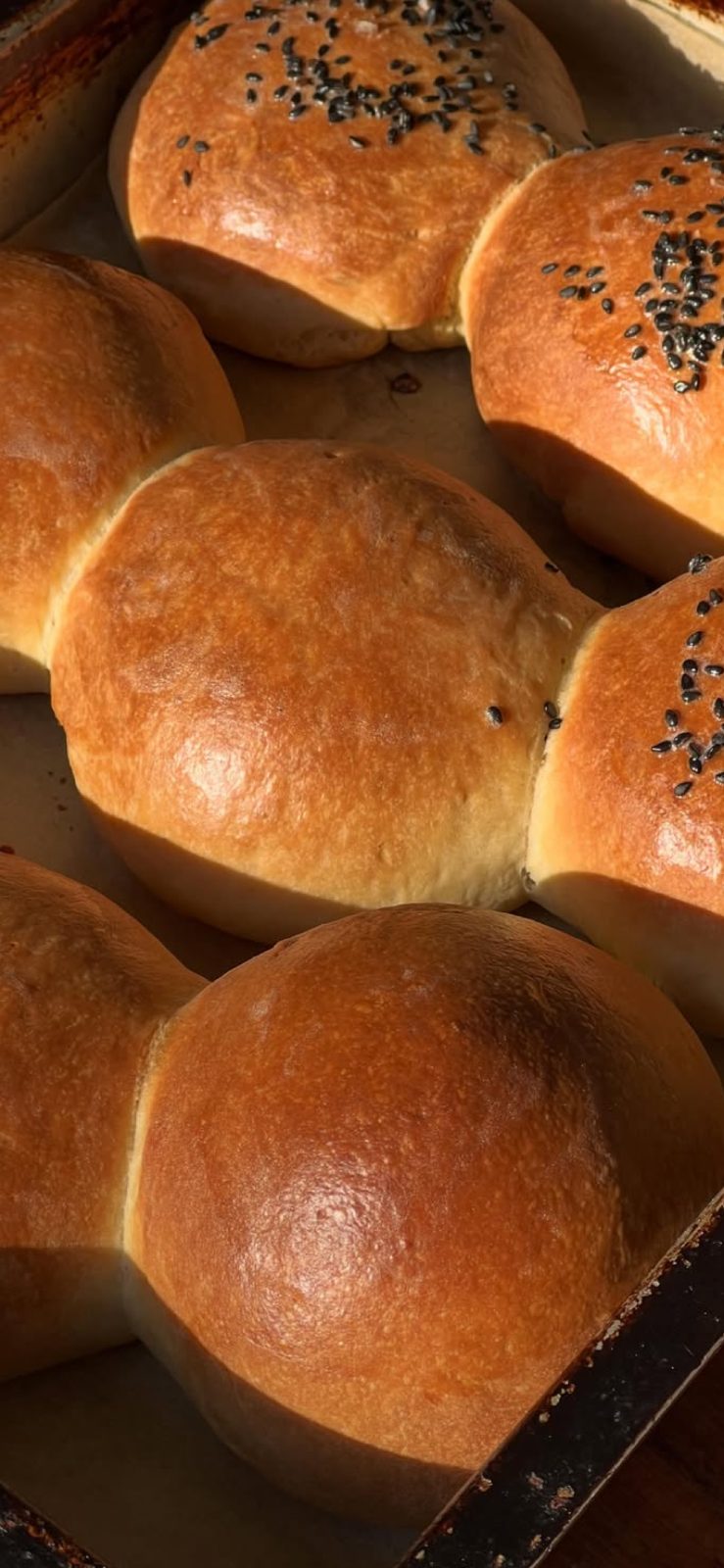 Fresh bread rolls with black sesame